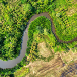 Kampot Informations &amp; History